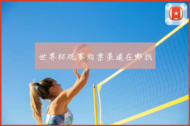 世界杯观赛购票渠道在哪找