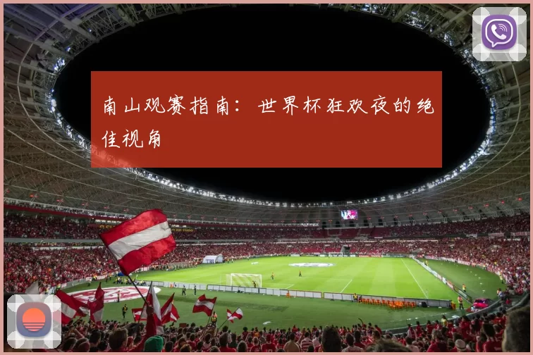 南山观赛指南：世界杯狂欢夜的绝佳视角