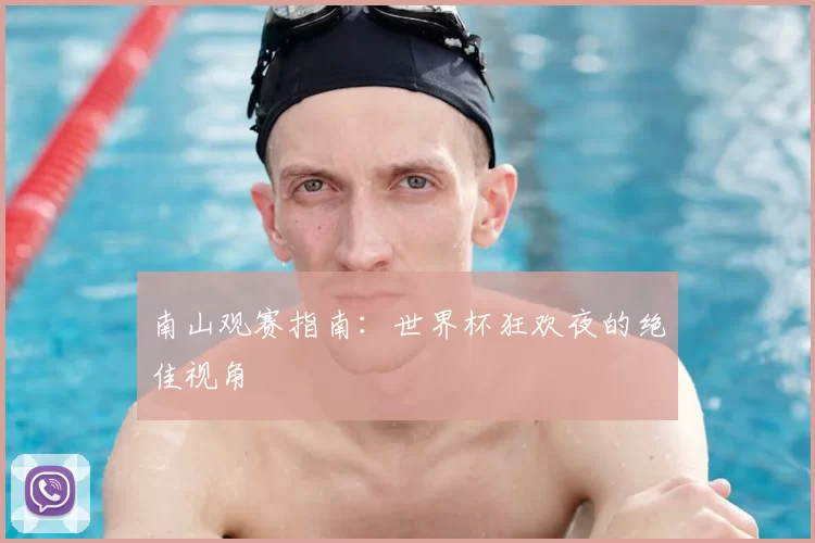 南山观赛指南：世界杯狂欢夜的绝佳视角