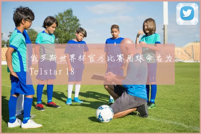 俄罗斯世界杯官方比赛用球命名为Telstar 18