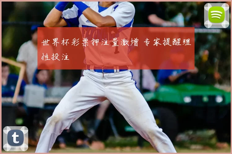 世界杯彩票押注量激增 专家提醒理性投注